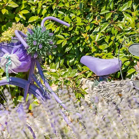 Nonni-romantic Stone House *