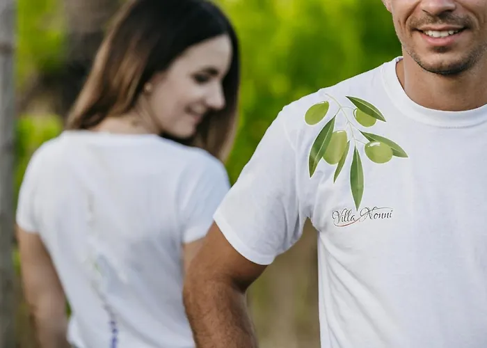 Nonni-romantic Stone House * Višnjan