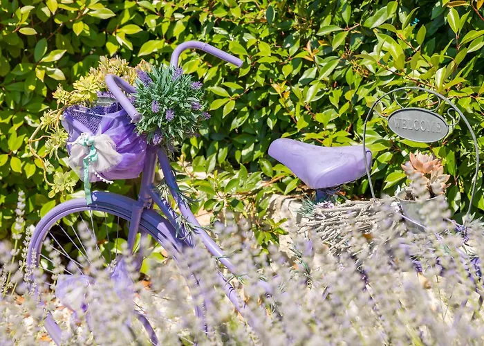 Nonni-romantic Stone House *